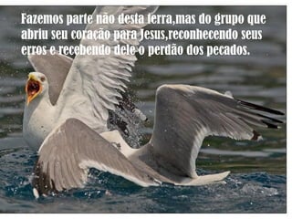 Fazemos parte não desta terra,mas do grupo que
abriu seu coração para Jesus,reconhecendo seus
erros e recebendo dele o perdão dos pecados.
 