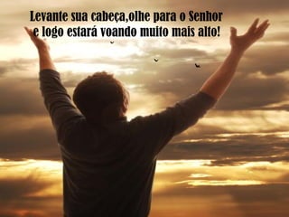Levante sua cabeça,olhe para o Senhor
e logo estará voando muito mais alto!
 