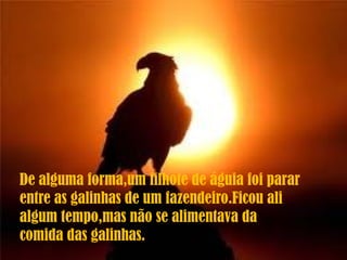 De alguma forma,um filhote de águia foi parar
entre as galinhas de um fazendeiro.Ficou ali
algum tempo,mas não se alimentava da
comida das galinhas.
 