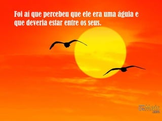 Foi aí que percebeu que ele era uma águia e
que deveria estar entre os seus.
 
