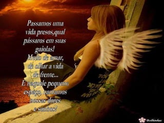 Passamos uma  vida presos,qual  pássaros em suas  gaiolas! Medo de amar,  de olhar a vida  de frente... E naquele pequeno  espaço, cantamos  nossas dores  e sonhos! 