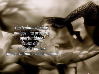 Não tenham dúvidas, amigos...na primeira  oportunidade,  devem alçar  o vôo das águias,  calmo, confiante, determinado! 