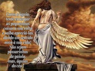 Como a águia,  tente enxergar  as pequeninas  coisas a sua volta  e saiba apreciá-las,  dando um sentido novo à sua vida! Não sejam  passarinhos  de gaiola,  mas, águias  do céu ! 