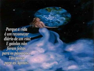 Porque a vida  é um recomeçar diário de um vôo! E gaiolas não  foram feitas  para os pássaros... Tão pouco  para as Águias! 