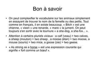 Les Animaux Vocabulaire Anglais Les Animaux Vocabulaire Anglais