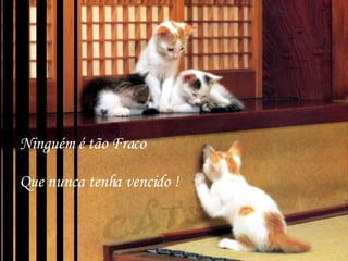 Ninguém é tão Fraco Que nunca tenha vencido !