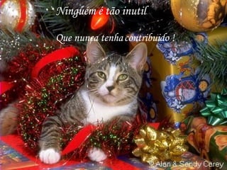 Ninguém é tão inutil Que nunca tenha contribuido ! 