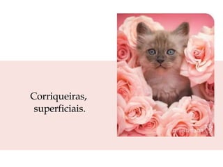 Corriqueiras,  superficiais. 