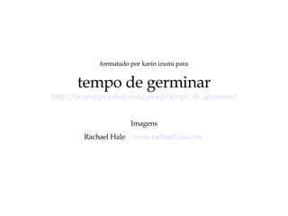 formatado por karin izumi para tempo de germinar http://br.groups.yahoo.com/group/tempo_de_germinar/ Imagens Rachael Hale  www.rachaelhale.com   