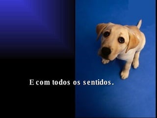 E com todos os sentidos.   