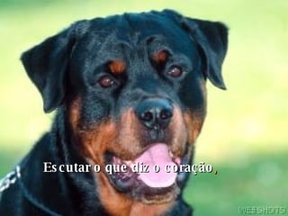 Escutar o que diz o coração , 