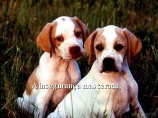 A insegurança mascarada,    