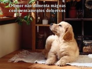 O amor não alimenta mágoas  com pensamentos dolorosos   
