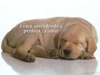 Estou aprendendo a perdoar , a amar  