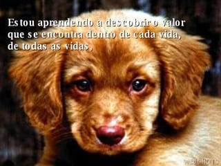 Estou aprendendo a descobrir o valor que se encontra dentro de cada vida, de todas as vidas, 