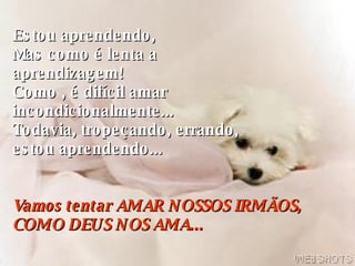 Estou aprendendo, Mas como é lenta a  aprendizagem! Como , é difícil amar  incondicionalmente...  Todavia, tropeçando, errando,  estou aprendendo... Vamos tentar AMAR NOSSOS IRMÃOS, COMO DEUS NOS AMA... 
