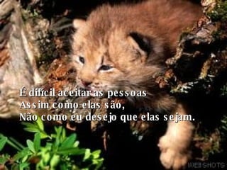 É difícil aceitar as pessoas Assim como elas são, Não como eu desejo que elas sejam. 