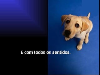 E com todos os sentidos.   
