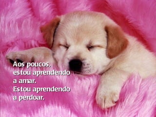 Aos poucos,  estou aprendendo  a amar. Estou aprendendo  a perdoar.   