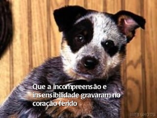 Que a incompreensão e insensibilidade gravaram no coração ferido   