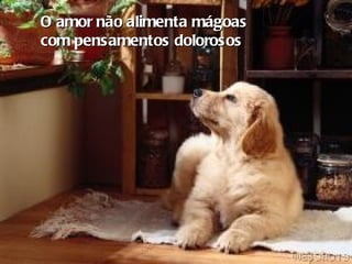 O amor não alimenta mágoas  com pensamentos dolorosos   