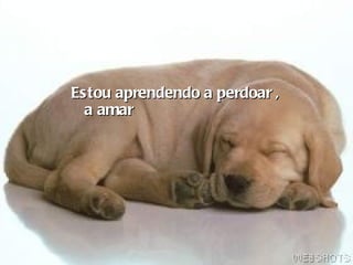 Estou aprendendo a perdoar , a amar  