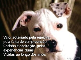 Valor soterrado pela rejeição,  pela falta de compreensão, Carinho e aceitação, pelas experiências duras Vividas ao longo dos anos,   