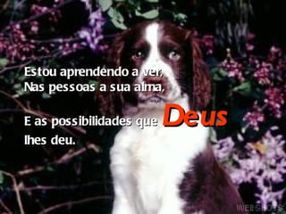 Estou aprendendo a ver, Nas pessoas a sua alma, E as possibilidades que   Deus lhes deu. 