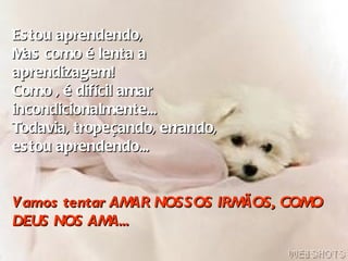 Estou aprendendo, Mas como é lenta a  aprendizagem! Como , é difícil amar  incondicionalmente...  Todavia, tropeçando, errando,  estou aprendendo... Vamos tentar AMAR NOSSOS IRMÃOS, COMO DEUS NOS AMA... 