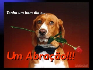 Tenha um bom dia e... Um Abração!!! 