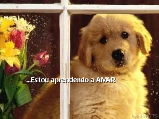 ...Estou aprendendo a AMAR 