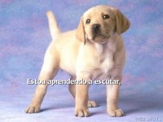 Estou aprendendo a escutar , 