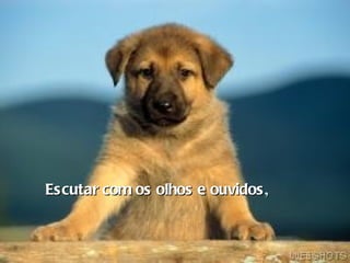 Escutar com os olhos e ouvidos ,   