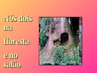 Nós dois na floresta  e no salão   