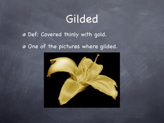 Gilded
Def: Covered thinly with gold.

One of the pictures where gilded.
 