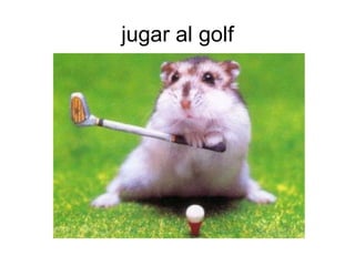 jugar al golf
 