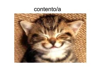 contento/a
 