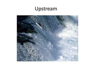 Upstream
 