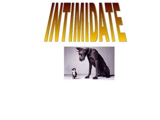 INTIMIDATE 