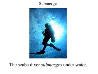 Submerge The scuba diver  submerges  under water. 