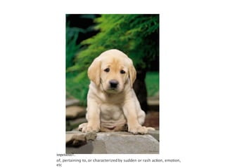 impetuous 1. of, pertaining to, or characterized by sudden or rash action, emotion, etc 