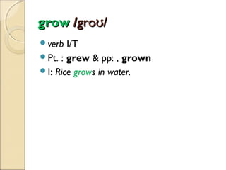 grow /groʊ/
verb

I/T
Pt. : grew & pp: , grown
I: Rice grows in water.

 