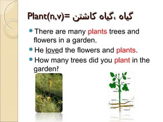 Plant(n,v)= ‫گیاه ،گیاه کاشتن‬
There

are many plants trees and
flowers in a garden.
He loved the flowers and plants.
How many trees did you plant in the
garden?

 