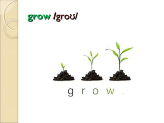 grow /groʊ/

 