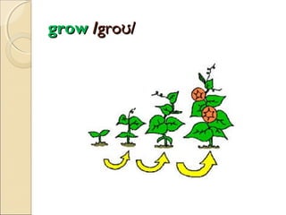 grow /groʊ/

 