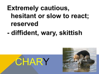 Extremely cautious, 
hesitant or slow to react; 
reserved 
- diffident, wary, skittish 
CHARY 
 