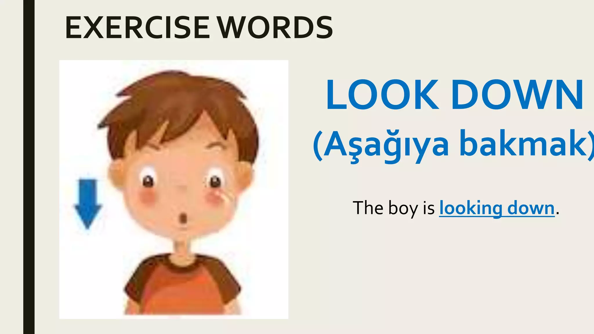 EXERCISE VOCAB WORDS visual data 7