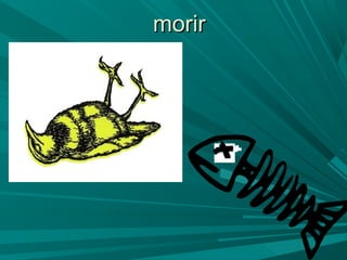morirmorir
 