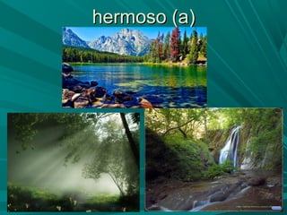 hermoso (a)hermoso (a)
 