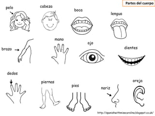 pelo cabeza
brazo
dedos
mano
piernas
pies
ojo
nariz
oreja
boca
Partes del cuerpo
dientes
lengua
http://spanishwithmisscaro...